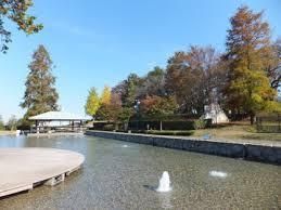 公園　ぼうさいの丘公園（公園）まで929m