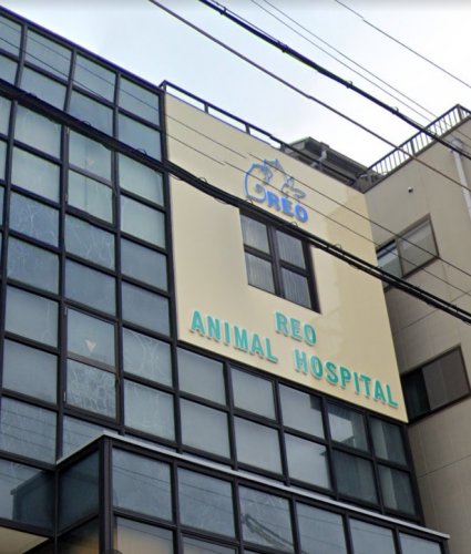 病院　レオ動物病院（病院）まで915m