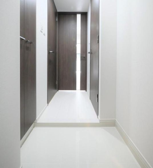 玄関　プレミアムキューブ大岡山DEUX