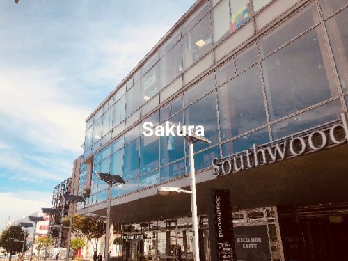 ショッピングセンター　サウスウッド（ショッピングセンター）まで1273m