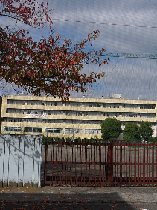 中学校　瀬崎中学校（中学校）まで265m