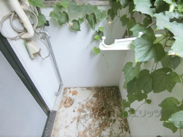 その他部屋・スペース　洗濯機置場