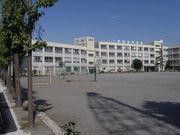 小学校　葛飾区立金町小学校（小学校）まで1569m