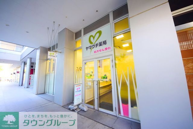 ドラックストア　ヤマグチ薬局（ドラッグストア）まで1320m