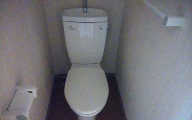 トイレ　参考写真（同建物別部屋）