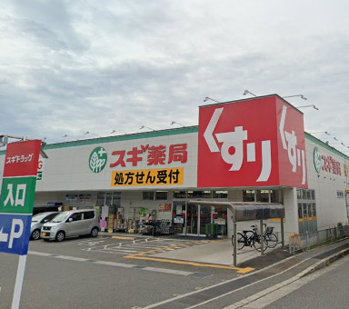 ドラックストア　スギ薬局岸和田上松店（ドラッグストア）まで744m