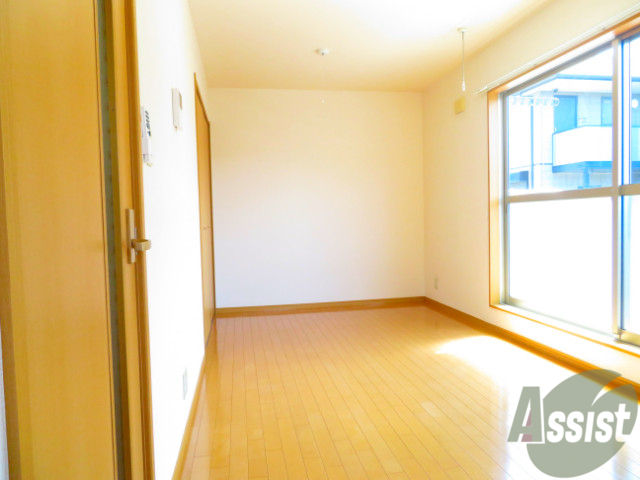 その他部屋・スペース　別の角度から洋室を撮影しました。２枚戸から陽が射しています