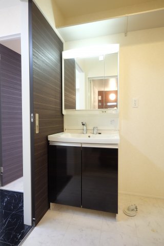 洗面設備　シャワー水洗付洗面台のある洗面所です