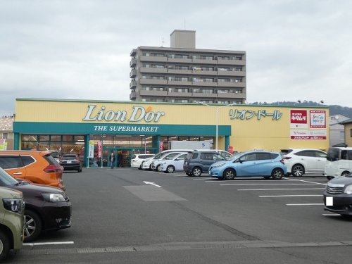 スーパー　Lion Dor(リオン ドール) 南中央店（スーパー）まで589m