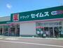 ドラックストア　セイムス高崎群馬町店（ドラッグストア）まで1100m