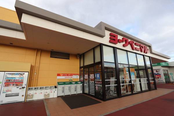 スーパー　ヨークベニマル　金屋店（スーパー）まで706m