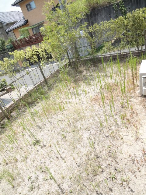 庭　別号室の写真です