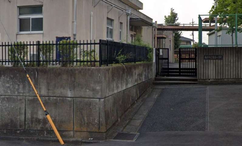 小学校　横浜市立豊田小学校（小学校）まで782m