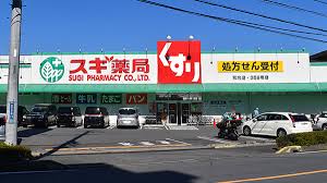 ドラックストア　スギ薬局 和光店（ドラッグストア）まで883m