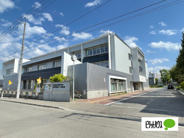 小学校　札幌市立発寒南小学校（小学校）まで737m