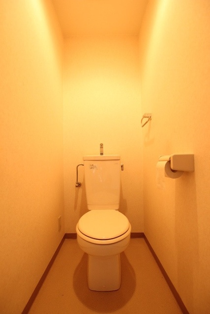 トイレ　写真は別号室のものです。