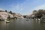 公園　井の頭公園（公園）まで690m