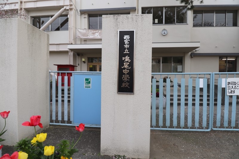 中学校　西宮市立鳴尾中学校（中学校）まで291m
