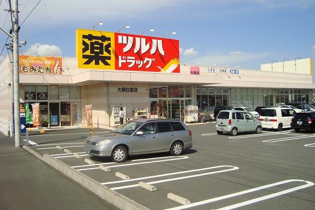 その他　ツルハドラッグ大網白里店（その他）まで860m