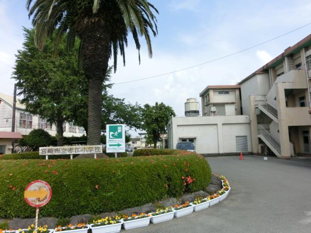 小学校　宮崎市立　赤江小学校（小学校）まで2300m