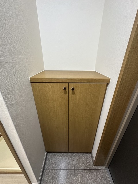 収納　下足入