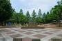 公園　西藤中央公園（公園）まで882m