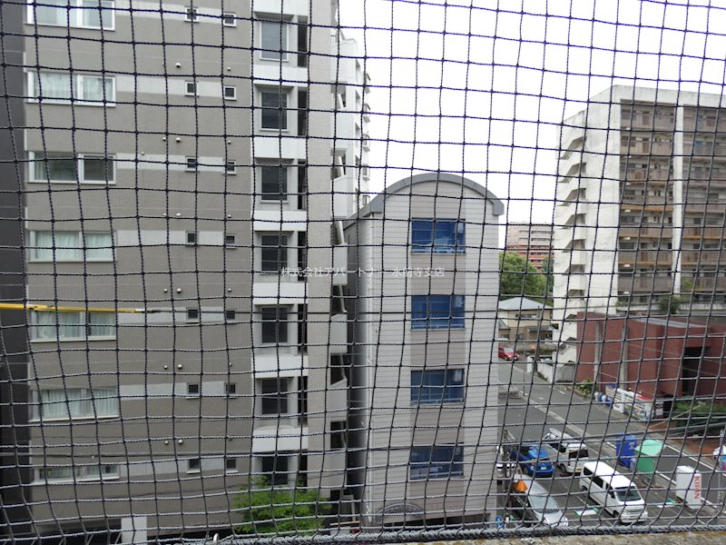 眺望　※イメージ