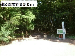 公園　砧公園（公園）まで850m