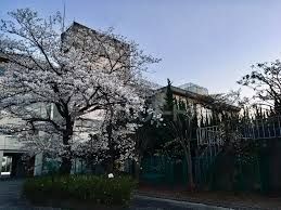 中学校　松戸市立第一中学校みらい分校（中学校）まで1010m