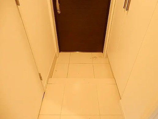 玄関　写真は同タイプ住居です