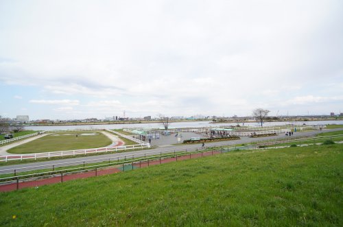 その他　篠崎ポニーランド（その他）まで990m