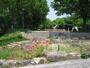 公園　本郷公園（公園）まで504m