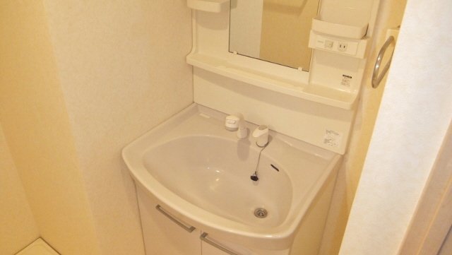 洗面設備　シャンプードレッサー付きです
