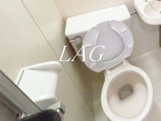 トイレ　トイレです。