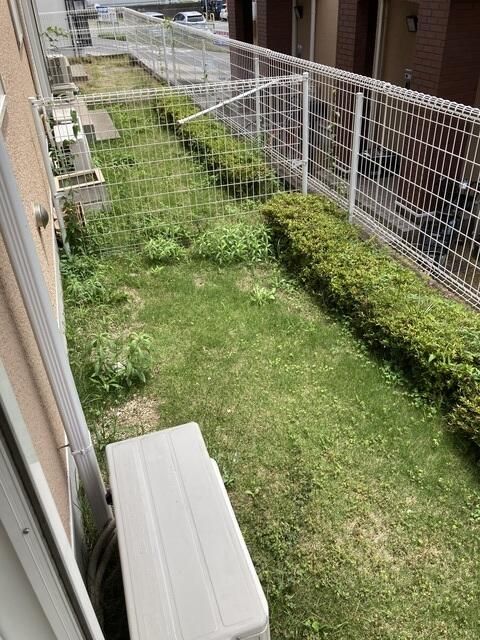 庭