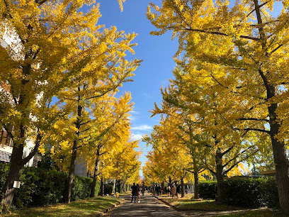 大学・短大　国立岡山大学（大学・短大）まで1347m