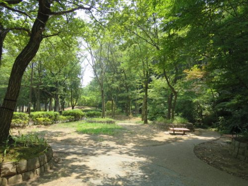 公園　霧が丘公園（公園）まで550m