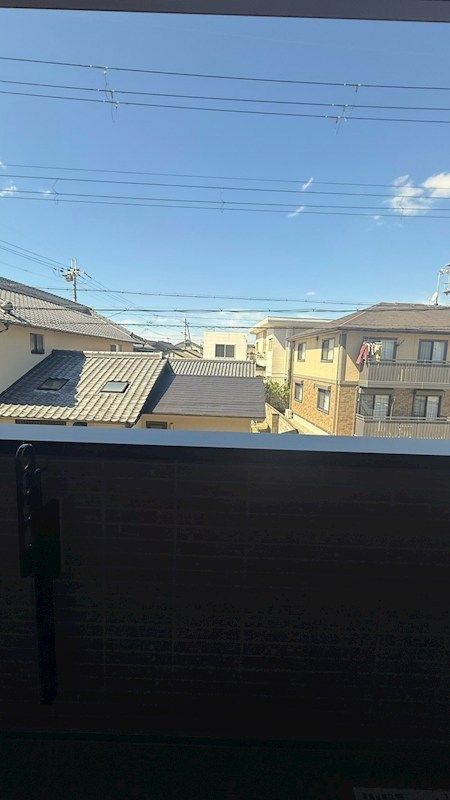ステラフォーリアのその他写真