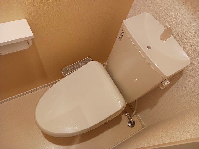 トイレ　トイレも気になるポイント