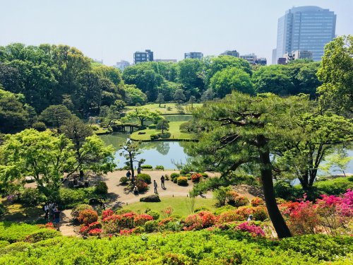 その他　六義園（その他）まで782m