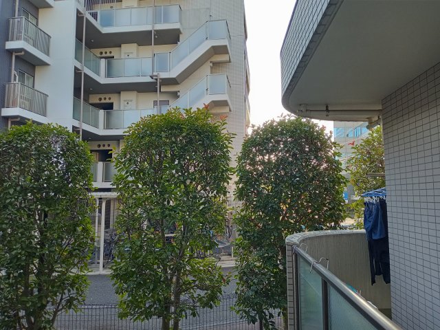 眺望