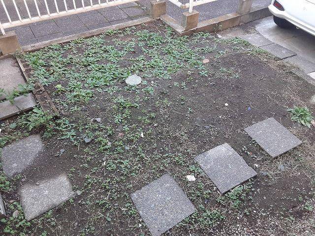 庭