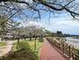公園　甲突川左岸緑地（公園）まで30m