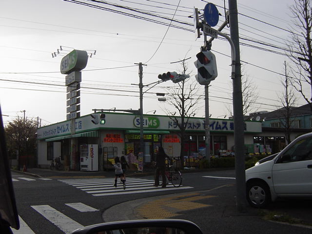 その他　ドラッグストア（その他）まで300m