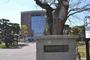 大学・短大　国立岡山大学（大学・短大）まで591m