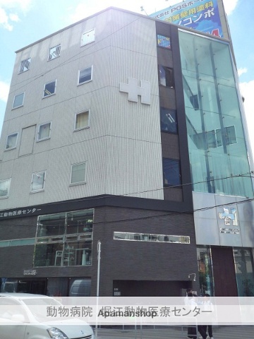 その他　堀江動物医療センター（その他）まで50m