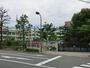 小学校　渋谷区立加計塚小学校（小学校）まで478m