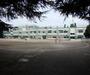 高校・高専　私立桐朋学園大学（高校・高専）まで431m