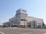 スーパー　イオン新潟西店（スーパー）まで339m