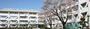 小学校　三鷹市立大沢台小学校（小学校）まで800m